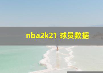 nba2k21 球员数据